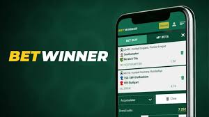 BetWinner SN Sign Up Process A Detailed Guide
